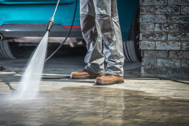 Best House Exterior Washing  in Medina, NY